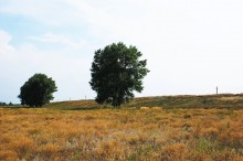 Старый казачий вал в станице Маныческой