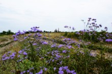 Старый казачий вал в станице Маныческой
