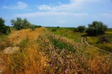 Старый казачий вал в станице Маныческой