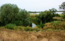 Старый казачий вал в станице Маныческой