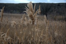 Длинная скала на Кундрючьей между Голубинкой и Чернышовым