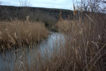 Длинная скала на Кундрючьей между Голубинкой и Чернышовым
