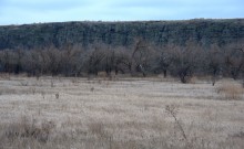 Длинная скала на Кундрючьей между Голубинкой и Чернышовым