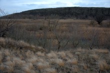 Длинная скала на Кундрючьей между Голубинкой и Чернышовым