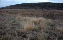 Длинная скала на Кундрючьей между Голубинкой и Чернышовым