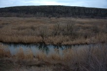 Длинная скала на Кундрючьей между Голубинкой и Чернышовым