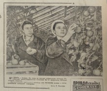 Газета Вечерний Ростов 1959