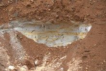 Палеонтология в хуторе Каныгин