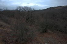 Палеонтология в хуторе Каныгин