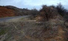 Палеонтология в хуторе Каныгин