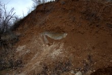 Палеонтология в хуторе Каныгин