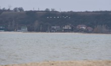 Прилетели лебеди