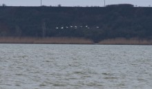 Прилетели лебеди