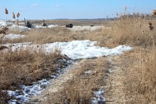 Нагон льда на берег в Таганрогском заливе