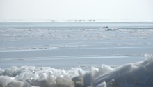 Нагон льда на берег в Таганрогском заливе