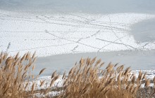 Зима на Миусском лимане