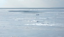 Ветровой нагон льда в Таганрогском заливе