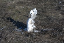 Ветровой нагон льда в Таганрогском заливе