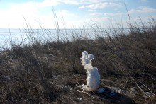 Ветровой нагон льда в Таганрогском заливе