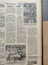 Прогулка по весеннему Ростову-на-Дону 1959 года