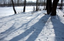 Масленица в первый день весны у Васильевской протоки