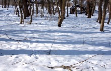 Масленица в первый день весны у Васильевской протоки