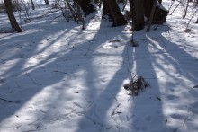 Масленица в первый день весны у Васильевской протоки