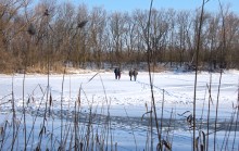 Масленица в первый день весны у Васильевской протоки
