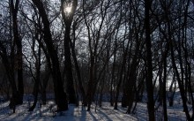 Масленица в первый день весны у Васильевской протоки