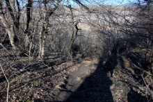 Большая скала на правом берегу Северского Донца