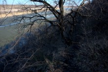 Большая скала на правом берегу Северского Донца