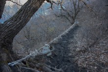 Большая скала на правом берегу Северского Донца