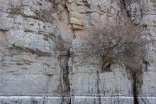 Большая скала на правом берегу Северского Донца