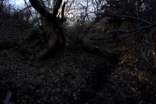 Большая скала на правом берегу Северского Донца