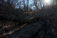 Большая скала на правом берегу Северского Донца