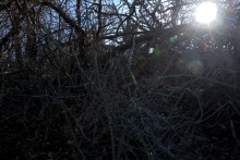 Большая скала на правом берегу Северского Донца