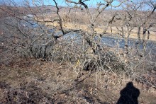 Большая скала на правом берегу Северского Донца