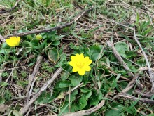 Балка Клиновая