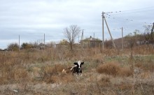 Белая скала у хутора Верхнепопов