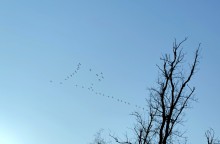 На стрелке 32.03.25