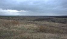 Розовый и зелёный мергель в балке Обрывской