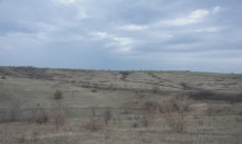 Розовый и зелёный мергель в балке Обрывской