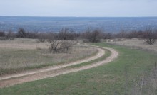 Весенняя степь