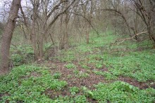 Весна в балке Клиновой