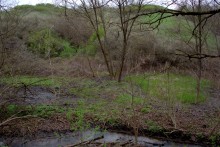 Весна в балке Клиновой