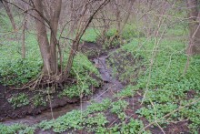 Весна в балке Клиновой