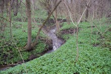 Весна в балке Клиновой