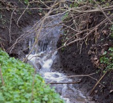 Весна в балке Клиновой