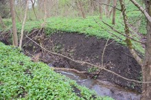 Весна в балке Клиновой