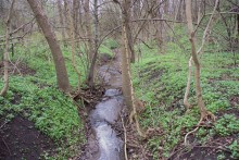 Весна в балке Клиновой